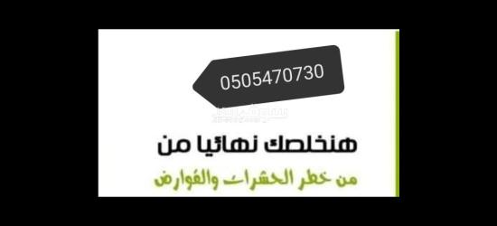 خدمه مكافحة حشرات في العين - 2