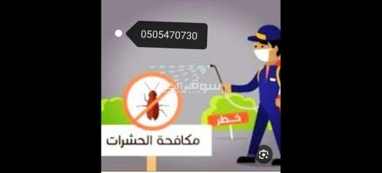 خدمه مكافحة حشرات في العين - 3