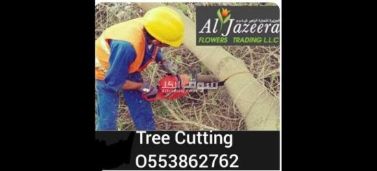 Tree cutting and disposal
