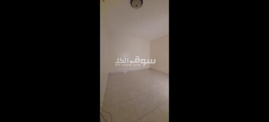 المناصير خلف قريت الموجعي - 2