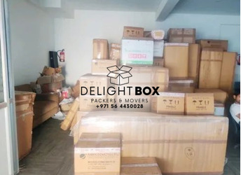 Delight Box Packers Movers Shifting Services UAE - 3