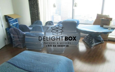 Delight Box Packers Movers Shifting Services UAE - 6