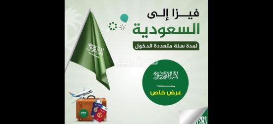 تخليص جميع المعاملات الحكومية وتأسيس الشركات وتوفير وكيل الخدمات والشريك واصدار التأشيرات السياحية - 9