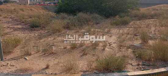 ارض للبيع - 6