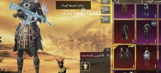 حساب ببجي اسطوري - 13
