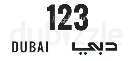 رقم لوحة السيارة 123