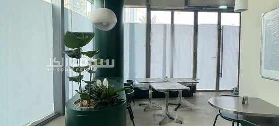 ايبوكسي وديكورات ميكروسمنت - 2