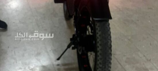 Winner bike cycle