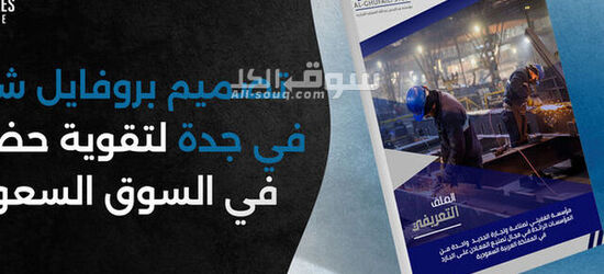 تصميم وكتابة بروفايل شركة احترافي أون لاين – ملف تعريفي متكامل - 4