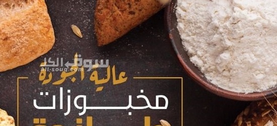 قصر الشركات – أفضل شركة تصميم بروفايل شركات في العالم العربي