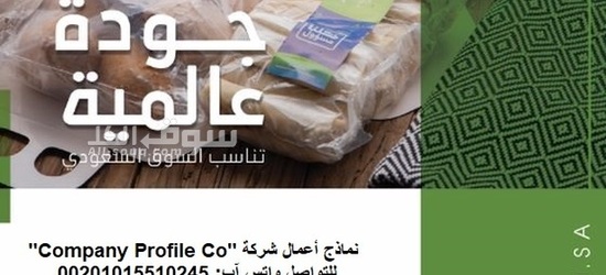 قصر الشركات – أفضل شركة تصميم بروفايل شركات في العالم العربي - 4