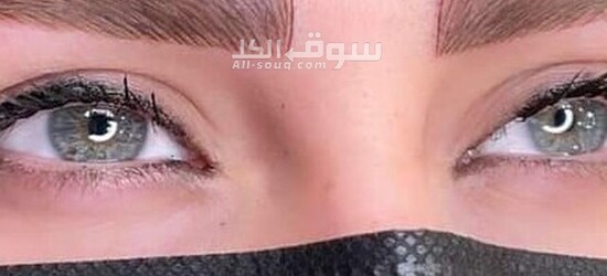 مايكروبليدج