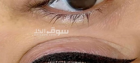 مايكروبليدج - 3