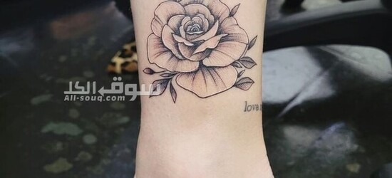 مايكروبليدج - 4