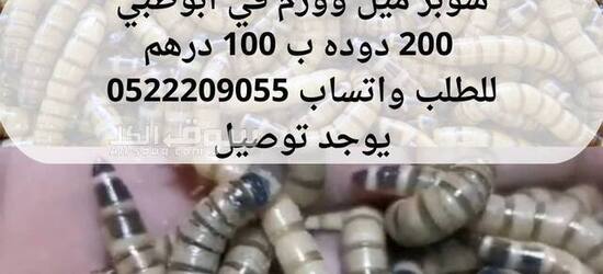متوفر دوده سوبر ميل وورم في ابوظبي